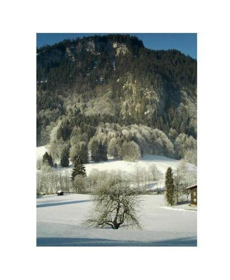 Falkenstein-Wohnung-4-Haus-B Oberstdorf Eksteriør bilde